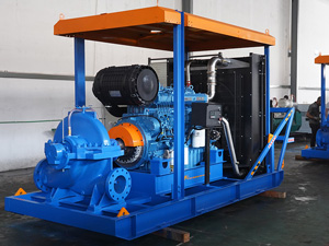 Pompe de Drainage à Capacité et Hauteur Manométrique Élevés pour Mine au Laos