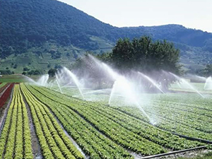 Irrigation Agricole